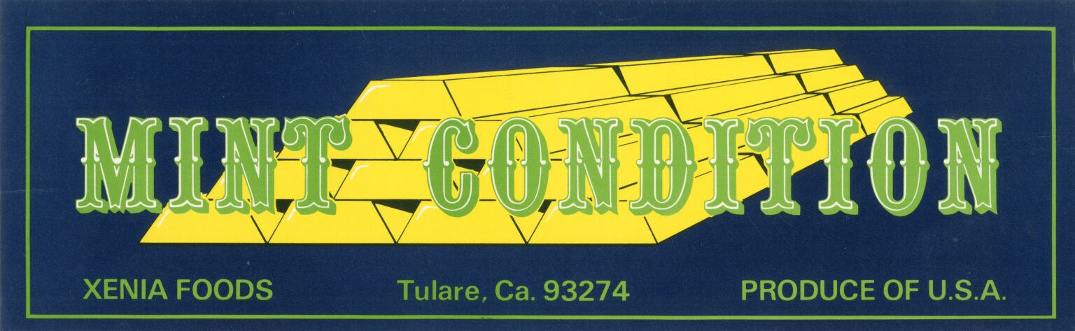 Mint Condition Mint Condition